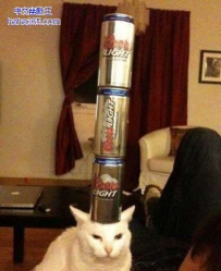 好可怜啊!你犯了什么错要这样对你