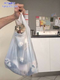 再不听话 丢掉你