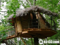 盘点全球20大树林小屋 款款都有爱！