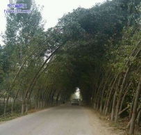 这个地方风一定很大吧