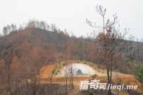 坟墓不能有这个东西 否则后代会越过越穷