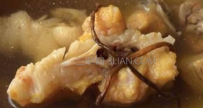 陈皮炖瘦肉功效和作用