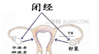 原发性闭经名词解释