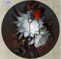 花鸟集（9张）
