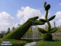 植被艺术（10张）