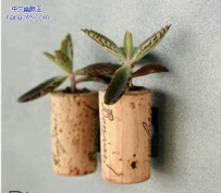 花器新玩法（8张）