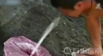 男子发现了像帽子的神秘生物