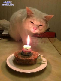 祝我生日快乐