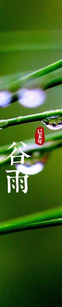 谷雨是什么时候_谷雨的来历与习俗