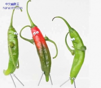 不安分的蔬菜（16张）