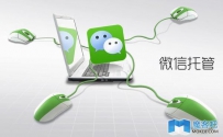 微信营销成功的秘诀—软文