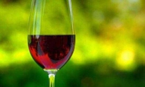 红酒配什么饮料 这样的搭配方法你可知道