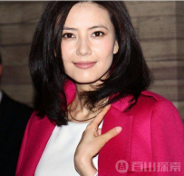 细数力挺两岸统一的明星