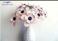 花的DIY（5张）