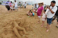 发现睡美人一枚