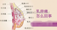 乳房痛是怎么回事