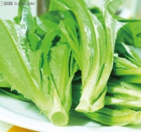 夏季莴笋栽培技术