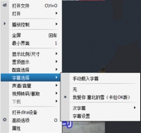 影音先锋播放器怎么搜索字幕？