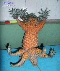 我渴望变成龙