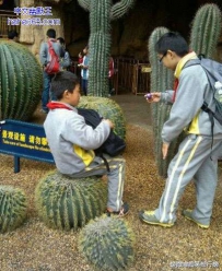 小伙伴你开挂了