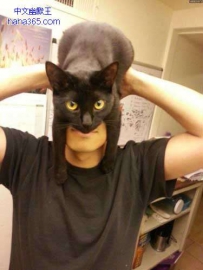 阿哈 黑猫警长