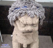 狮纸你很拉轰的说