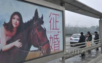 女孩公交站台征婚 200个公交站牌一夜全换征婚海报
