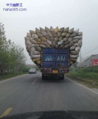 严重超载，不科学啊
