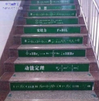 早如此，我就不会辍学