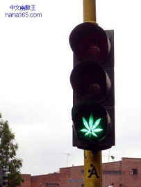 这是嘛意思了