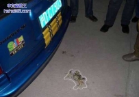 我是受害者