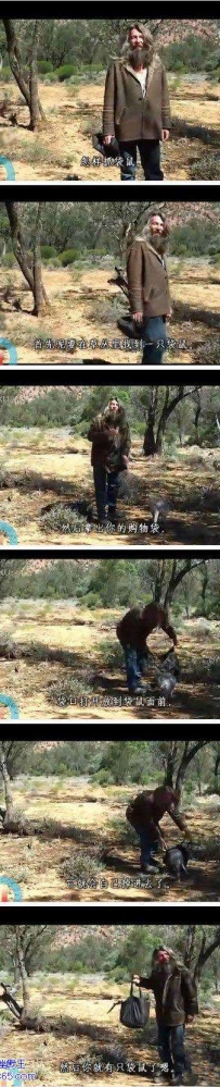 袋鼠都是口袋控