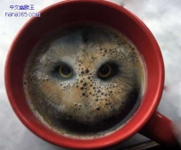 你这是神作