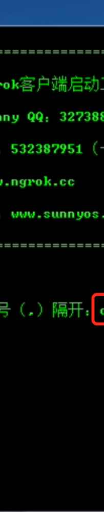 Sunny-NgrokWindows使用方法