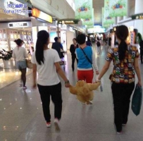 妹子，你们是要闹哪样