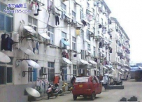 这场面壮观吧