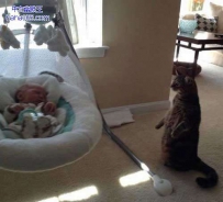 看孩子我最在行了