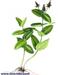 中草药大全―大对经草