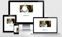 HTML5可击碎的视频播放器\html5-canvas-video
