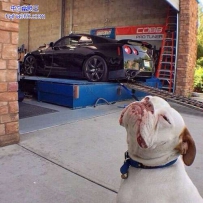 哼 不让我做不理你了