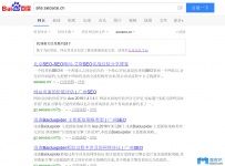 SEO是急不来的，因为主动权在搜索引擎那里，你只能按部就班的去做 ...