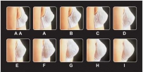 胸罩杯 如何测量乳房、选择合适的胸罩罩杯