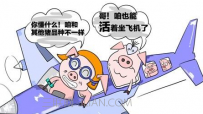 什么样的人容易晕机