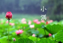 小满时节相关灾害