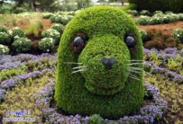 植被艺术