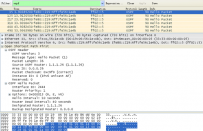 路由协议分析 Wireshark-win32-1.10.2.exe