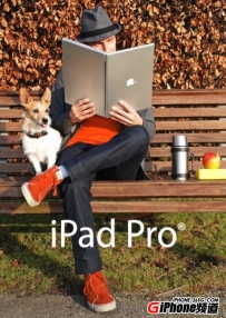 12.9寸iPad Pro的内存多大？