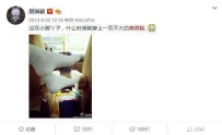 赵丽颖脚小被夸可爱, 郭碧婷、林志玲脚大却遭吐槽
