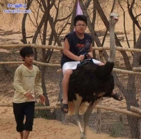 得驾 你倒是走快点阿