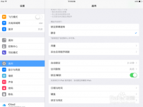 ipad内存怎么清理